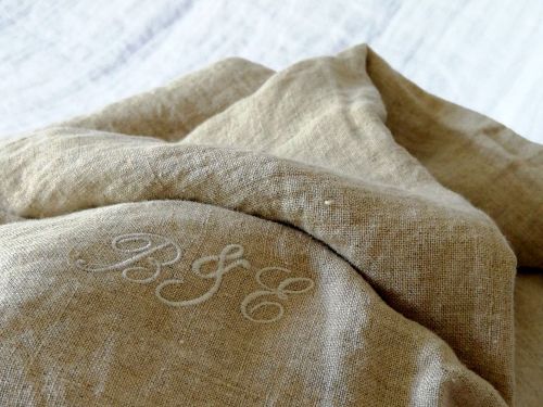 60656611_842451492774518_1064604448581484544_n (1).jpg